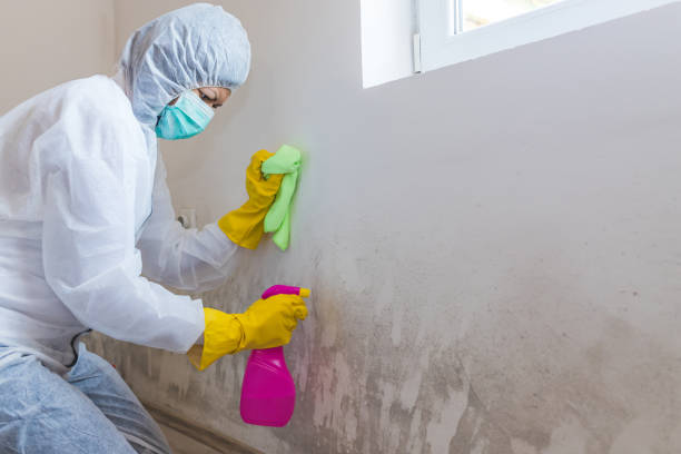 Mold Remediation for Rental Properties in Lebanon, TN